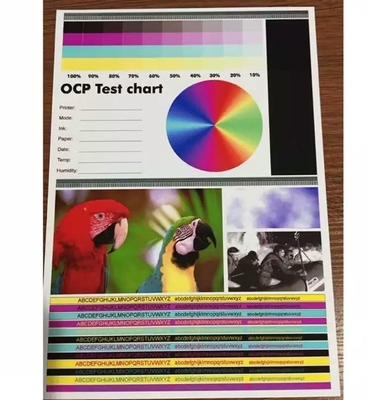 Epson ve Cannon mürekkep püskürtücüsü için çift taraflı mürekkep püskürtücüsü PVC kart listesi Boyut Toleransi /-0.5mm MIP-DS-W