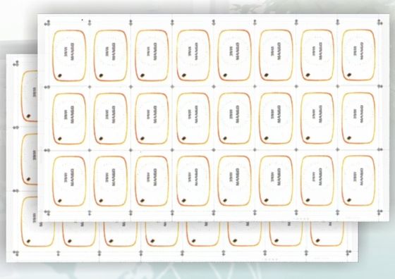 Plastik Yaşlanma Karşıtı Kakma, Kart INLAY Sayfası için PC Çekirdek Taban Sayfası kullanılır