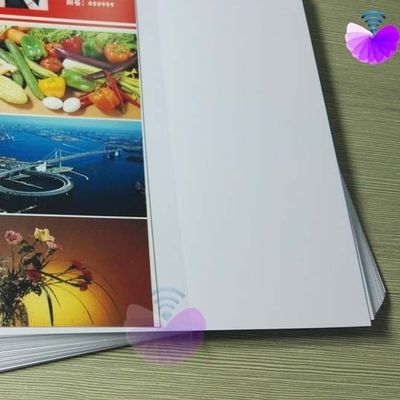 A3 Boyutlu Serigrafi Baskı Pvc Çekirdek Levha, Mükemmel Mürekkep Yapışması